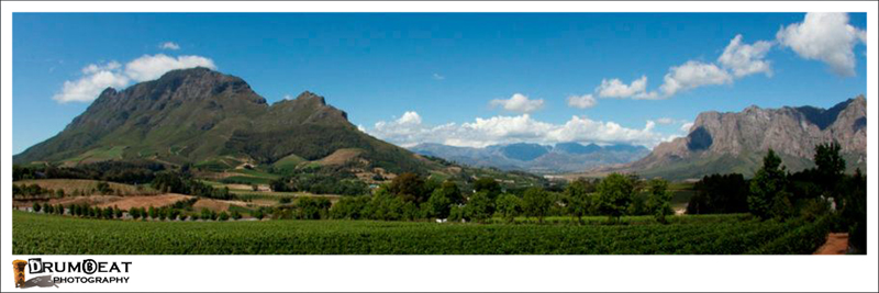 cape-winelands-day-tours